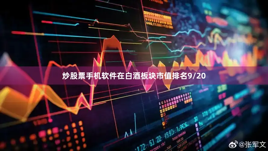 炒股票手机软件在白酒板块市值排名9/20